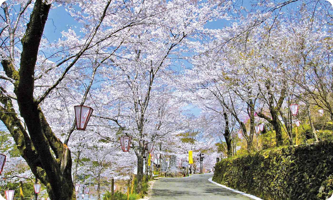 牧野公園リニューアル事業 牧野公園リニューアル事業