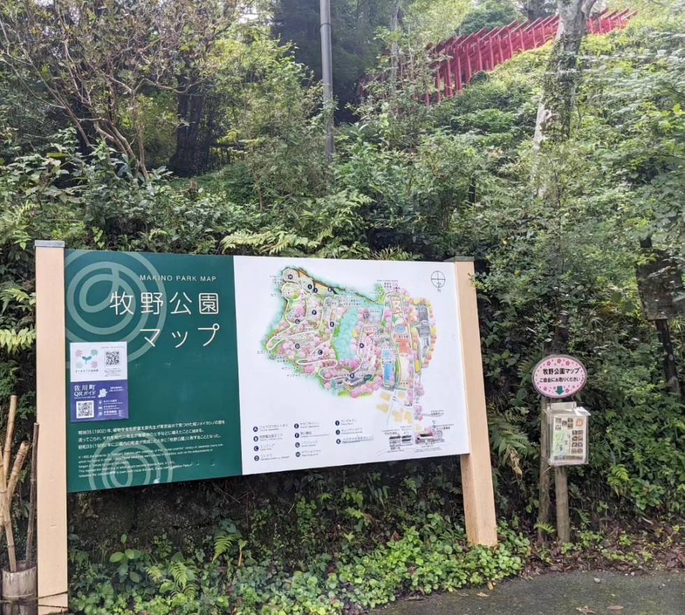 牧野公園