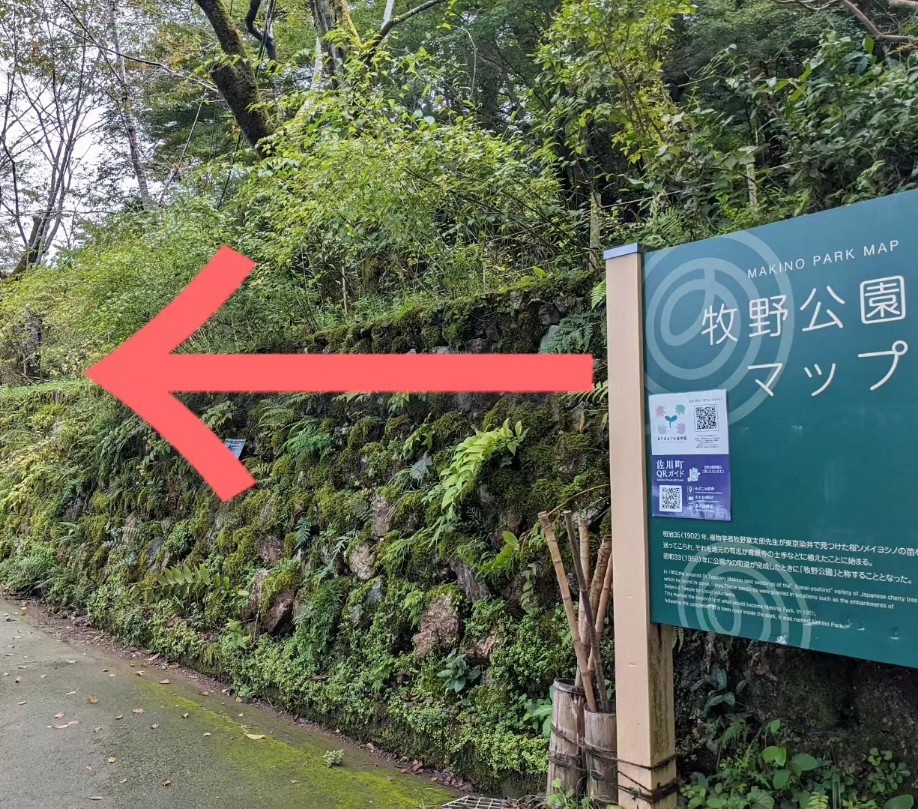 牧野公園