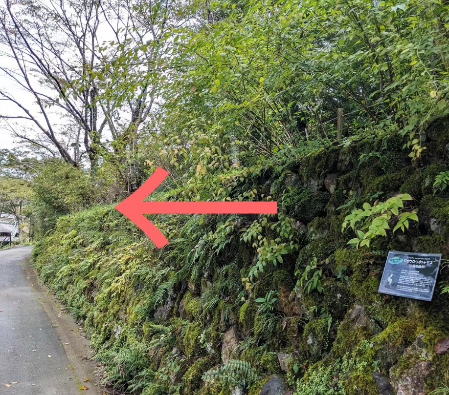 牧野公園