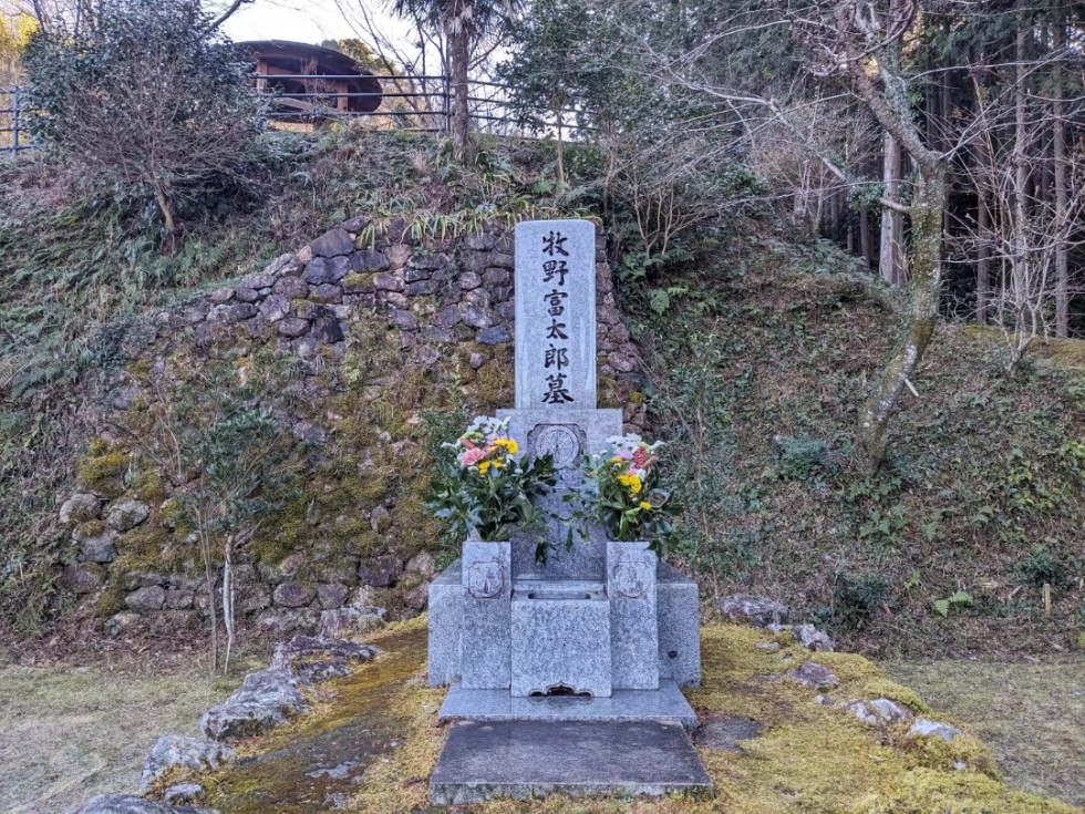 牧野富太郎博士命日【2024.1.18】