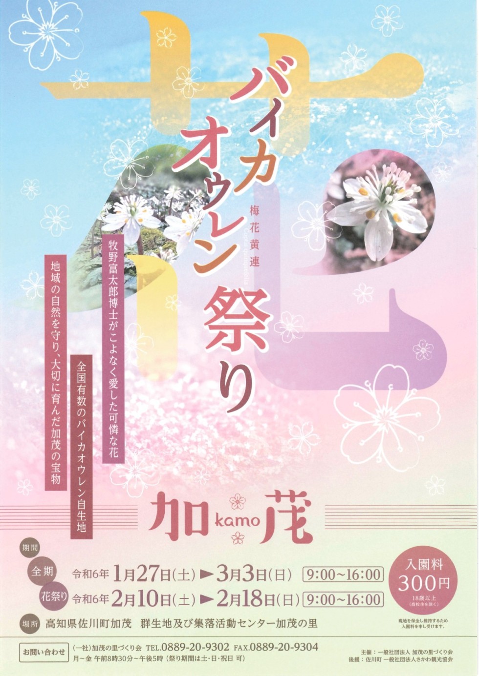 加茂のバイカオウレン祭り
