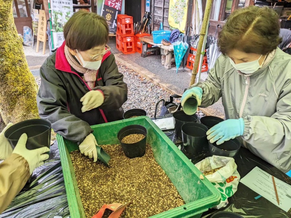 山野草の種まき会