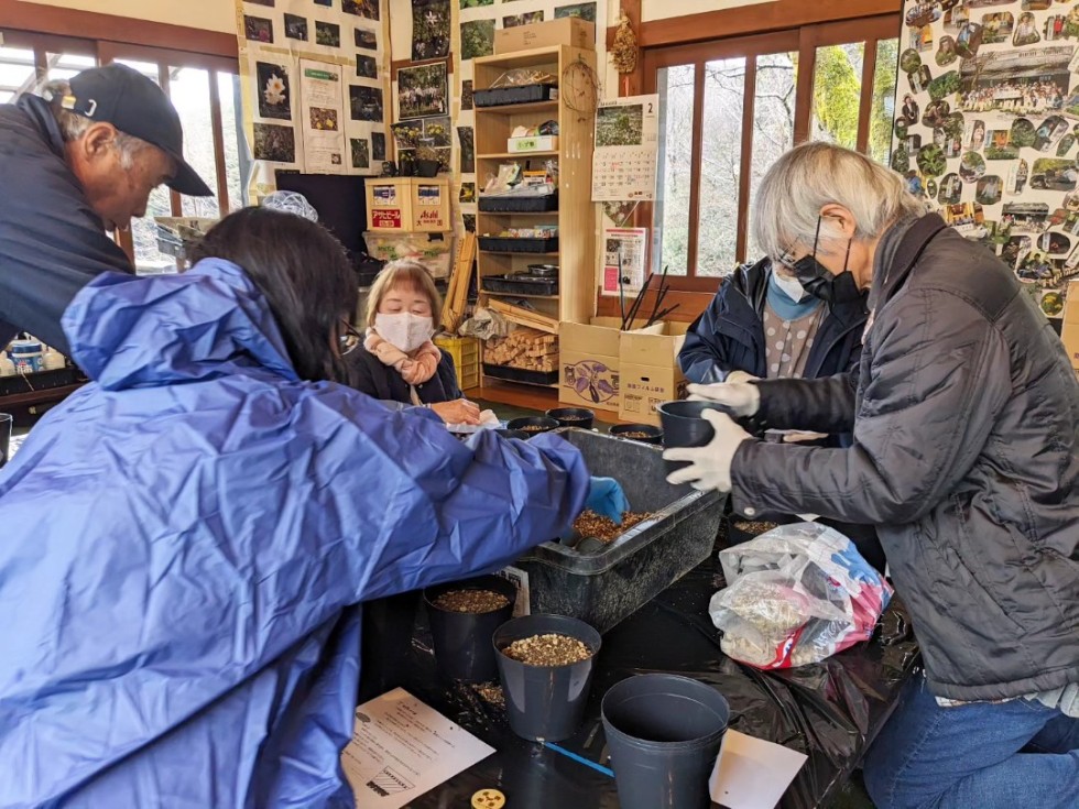 山野草の種まき会