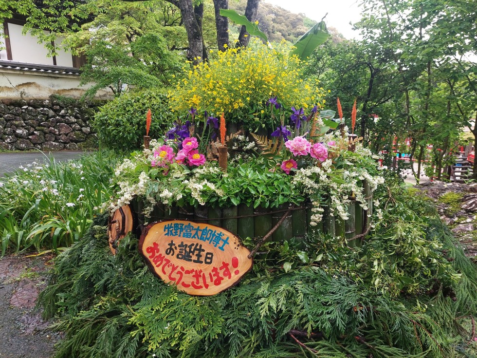 バースデーケーキ