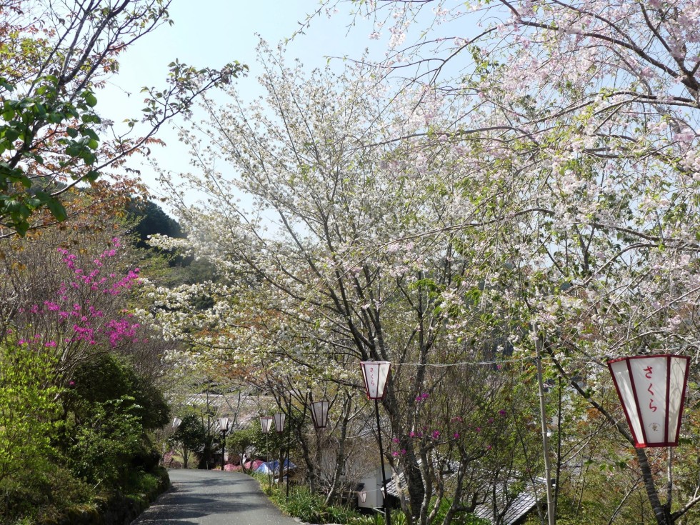 牧野公園