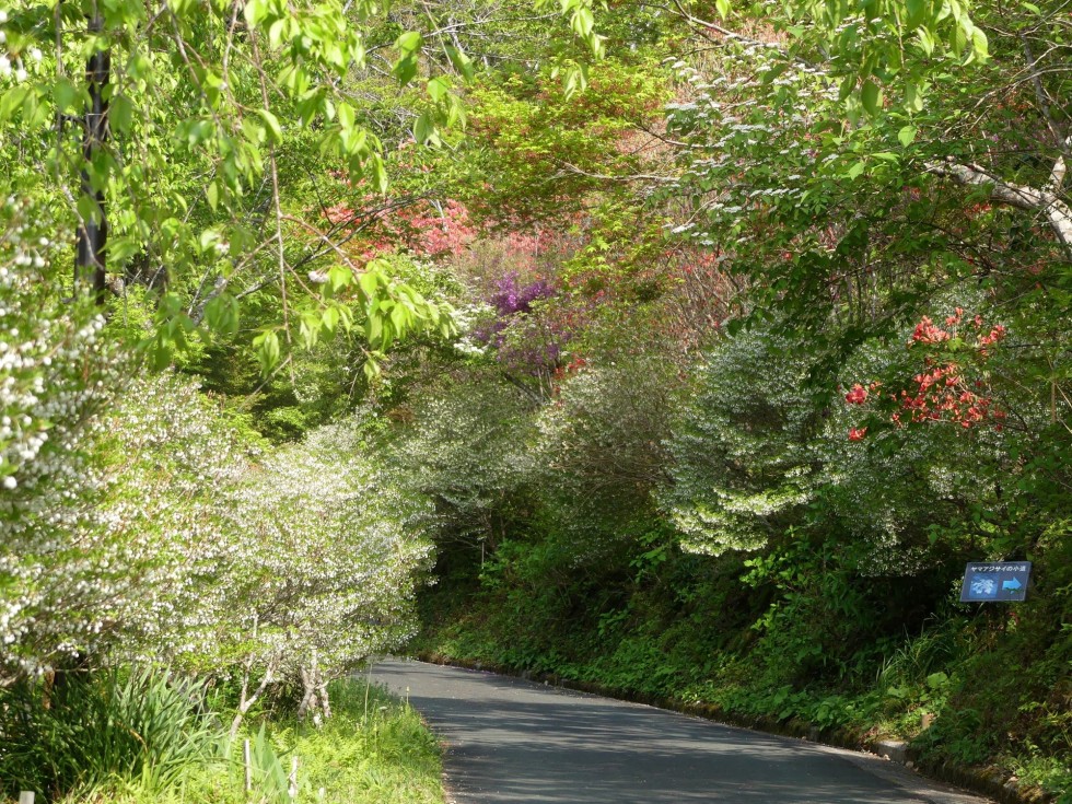 牧野公園