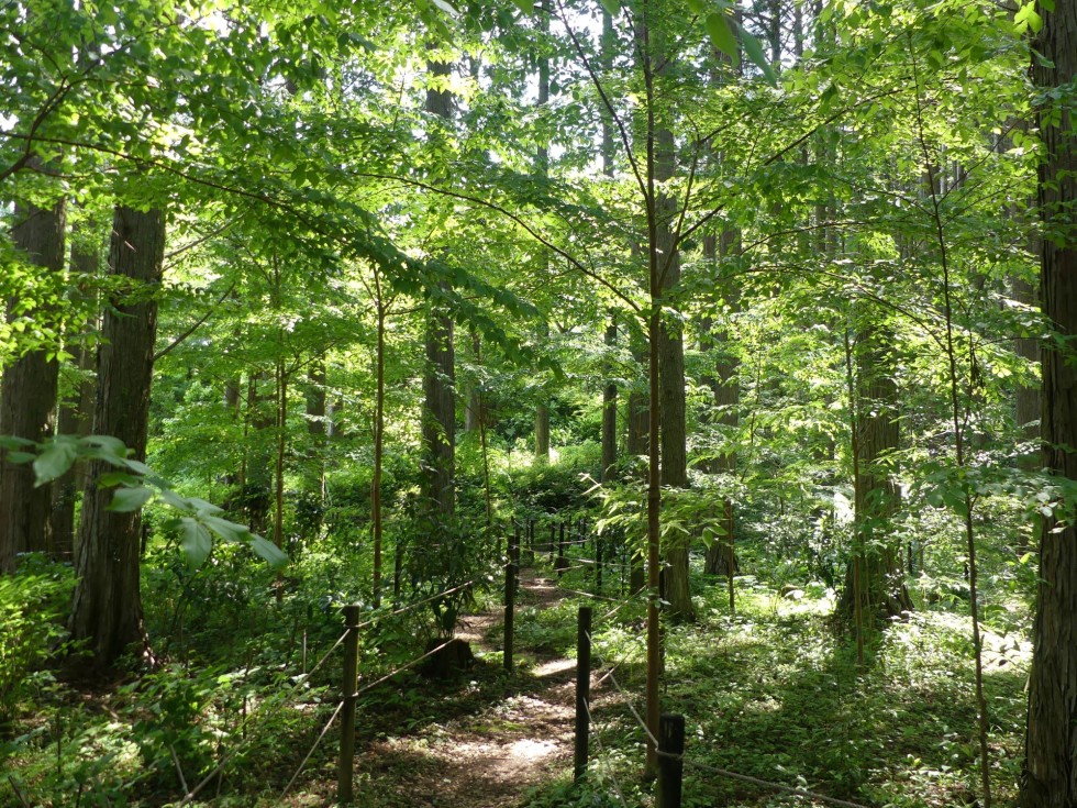 牧野公園