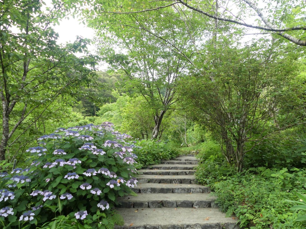 牧野公園