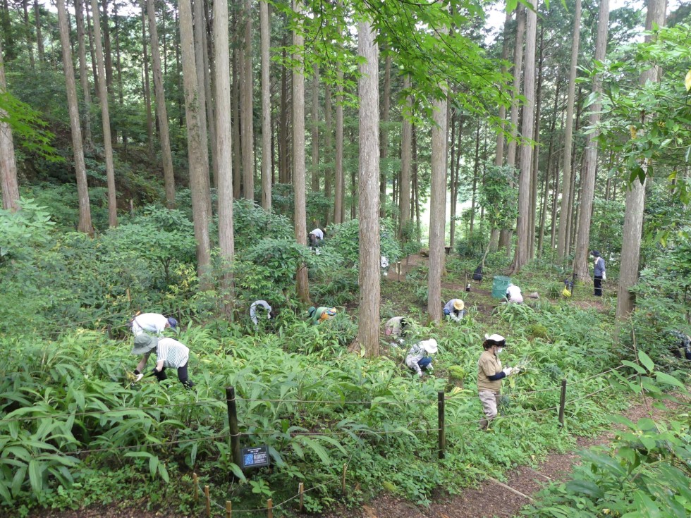 牧野公園
