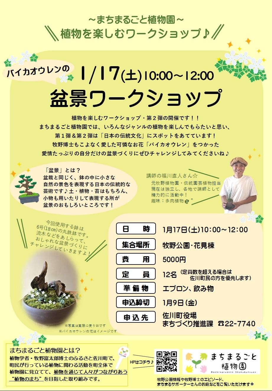 まちまるごと植物園『バイカオウレンの盆景ワークショップ』のご案内♪