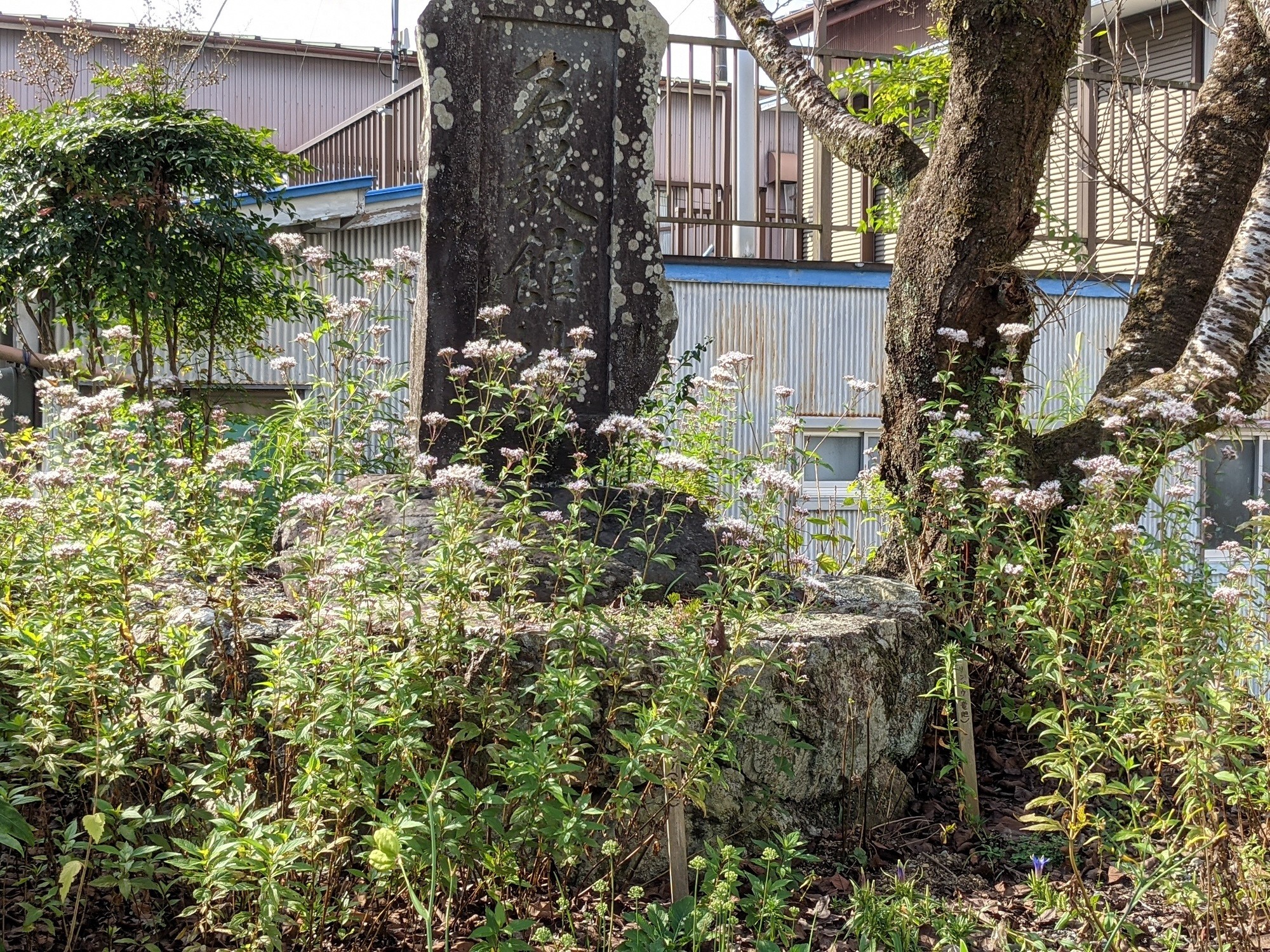 名教館址
