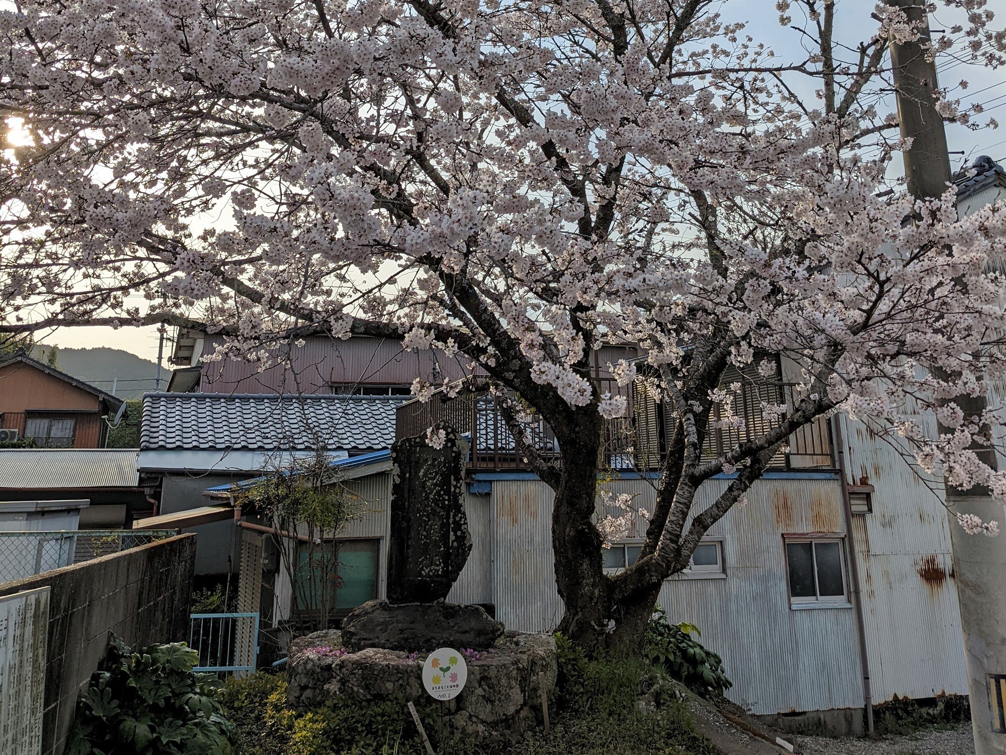 名教館址