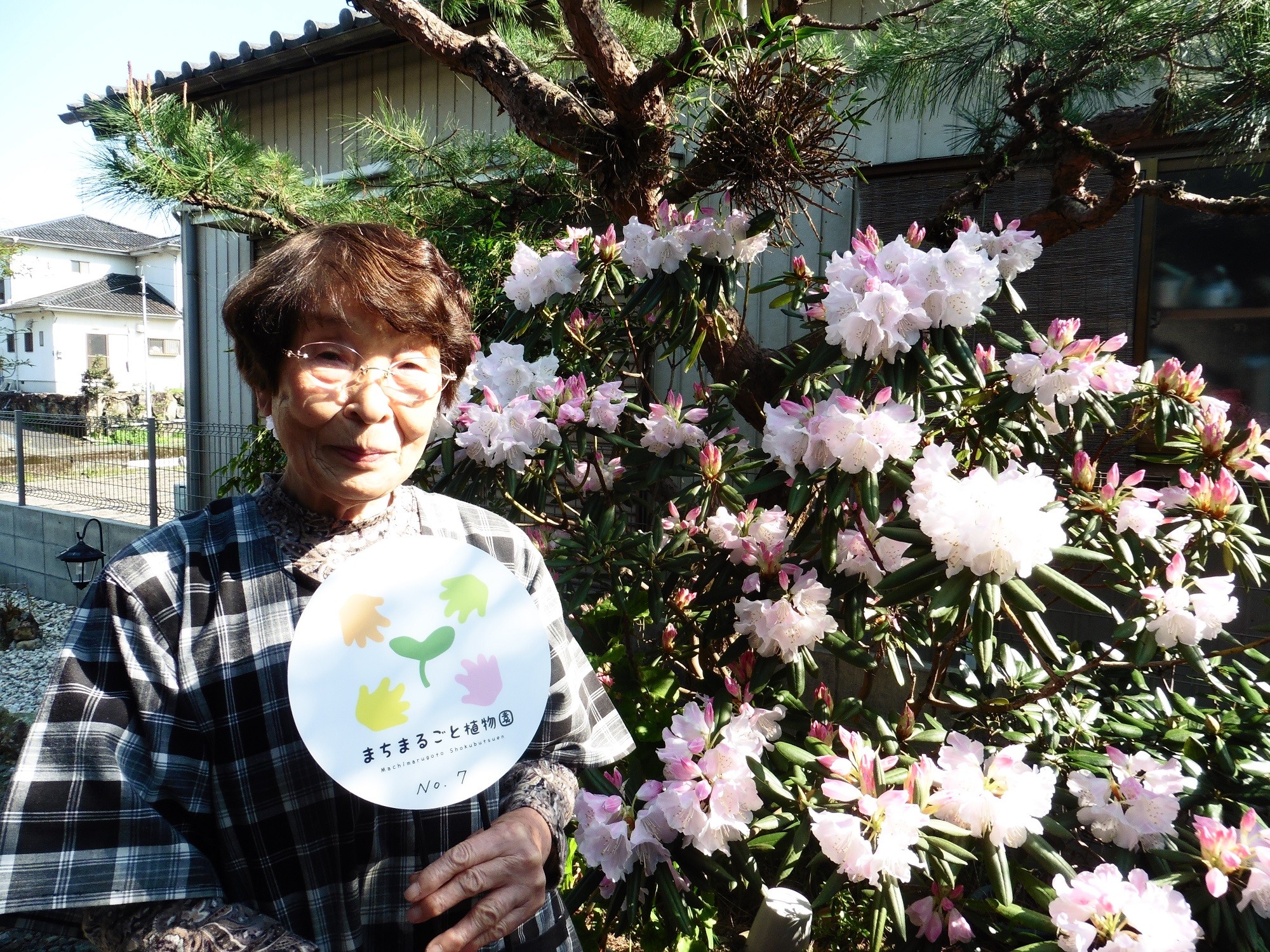 政岡幸恵さんのお庭