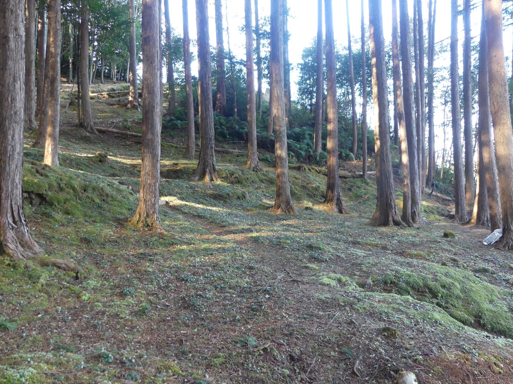眞辺誠男さんのバイカオウレン山